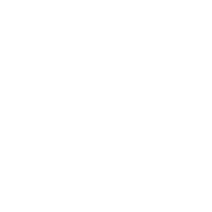 Chauffeurs privés
