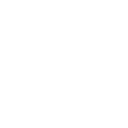Chauffeurs privés