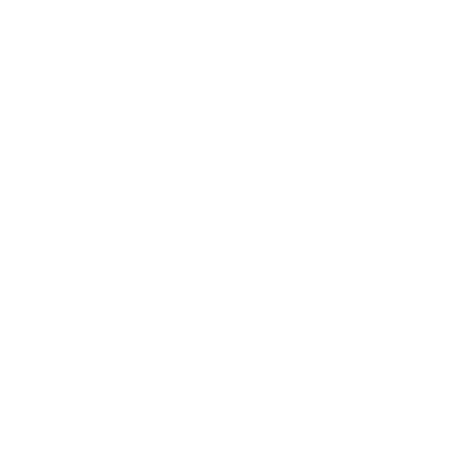 Chauffeurs privés